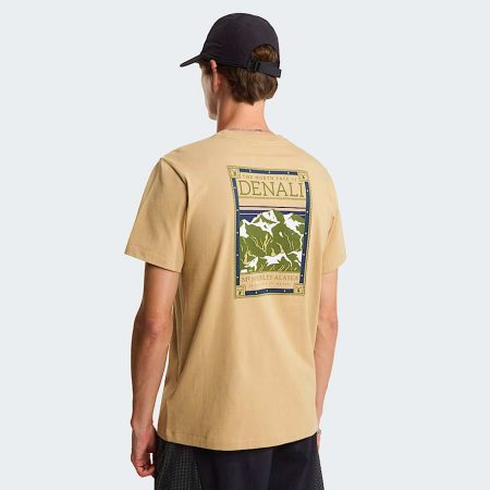 The North Face North Faces Regular Graphic T-shirt Voor Heren Khaki Stone male