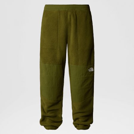 The North Face Ripstop Denali-broek Voor Heren Forest Olive male