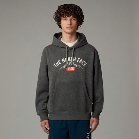 The North Face Varsity Hoodie Met Print Voor Heren Tnf Medium Grey Heather male