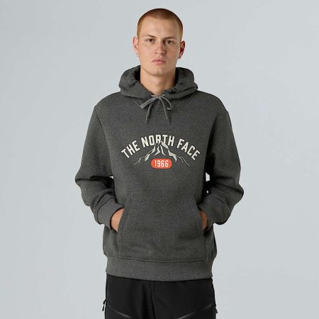The North Face Varsity Hoodie Met Print Voor Heren Tnf Medium Grey Heather male
