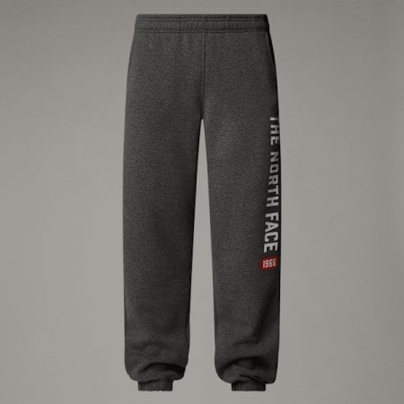 The North Face Varsity-joggingbroek Met Print Voor Heren Tnf Medium Grey Heather male