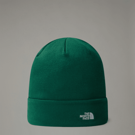 The North Face Norm-beanie Evergreen male