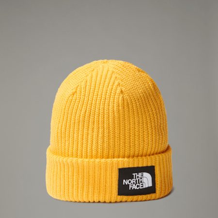 The North Face Salty Lined-beanie Summit Gold male