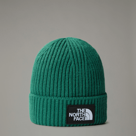 The North Face Tnf Logo Box-beanie Met Boord Evergreen male