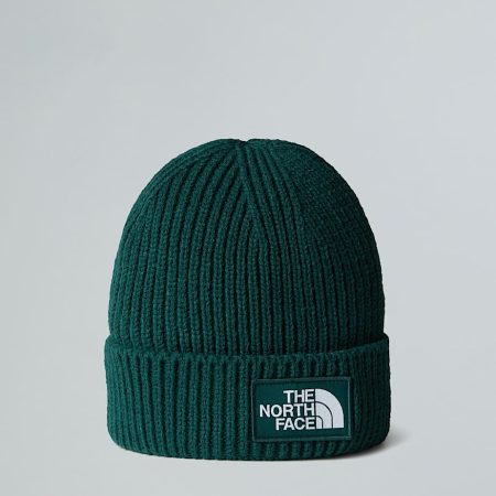 The North Face Tnf Logo Box-beanie Met Boord Deep Nori-duck Green male