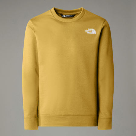 The North Face Sweater Met Ronde Hals Voor Tieners Arrowwood Yellow male