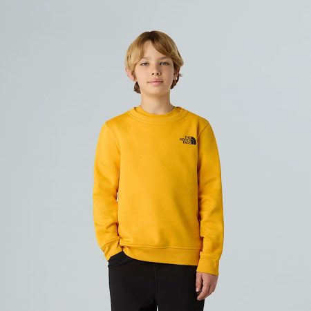 The North Face Nse Box-sweatshirt Voor Tieners Summit Gold male