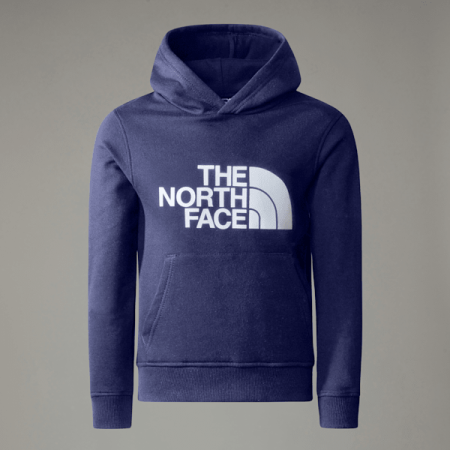 The North Face New Peak-hoodie Voor Tieners Cave Blue male