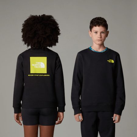 The North Face Redbox-sweatshirt Voor Tieners Tnf Black-sulphur Spring Green male