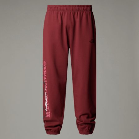 The North Face Uniseks Nse Relaxed-joggingbroek Sumac male