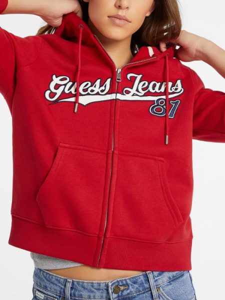 Klassieke Trui Met Capuchon Met Rits En Logo