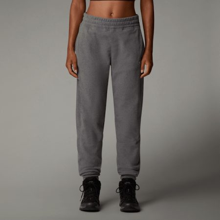 The North Face 100 Glacier-joggingbroek Voor Dames Tnf Medium Grey Heather female