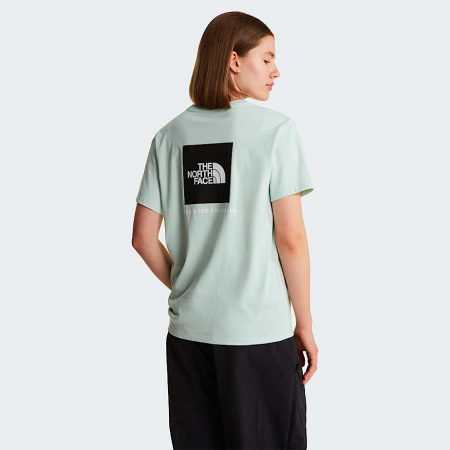 The North Face Evolution Nse Box Relaxed T-shirt Voor Dames Opal Frost female