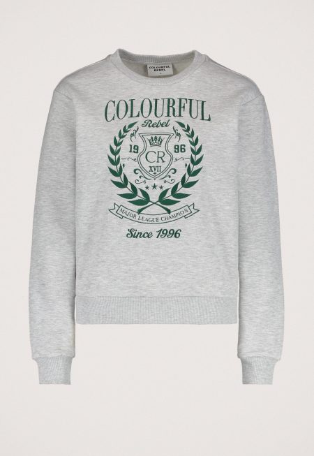 Colourful Rebel College 1986 Embro Hoodie