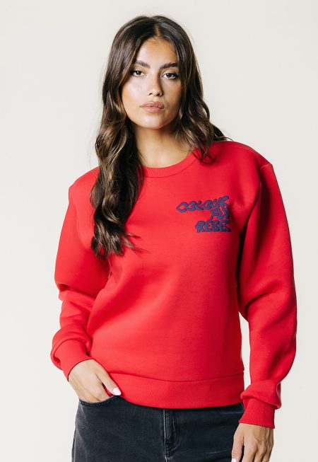 Colourful Rebel Wave Logo Sweater