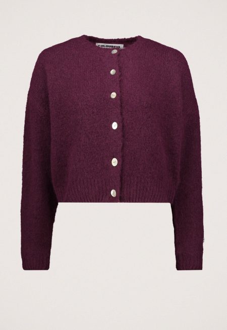 Colourful Rebel Yara Knitted Vest