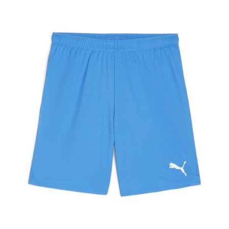 PUMA Trainingsshort TEAMGOAL SHORTS