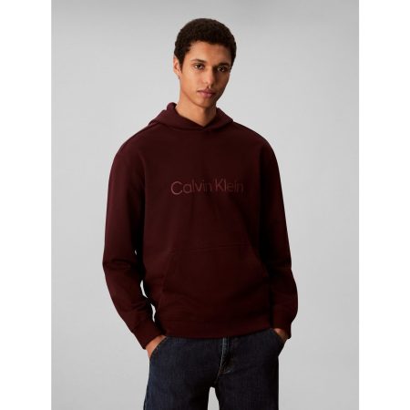 Calvin Klein Hoodie LS EU STANDARD LOGO 350TERRY PO