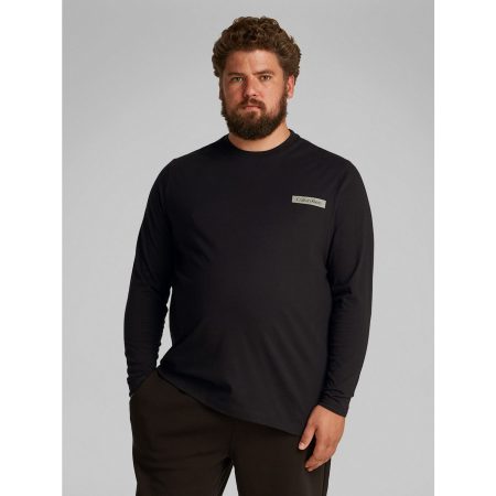 Calvin Klein Shirt met ronde hals BT_STACK COLOR BLOCK LS T-SHIRT