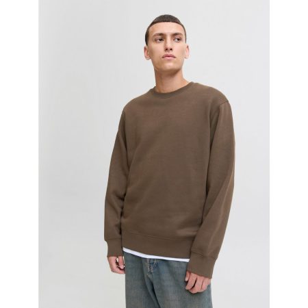 Jack & Jones Sweatshirt JJESTAR BASIC SWEAT CREW NECK NOOS