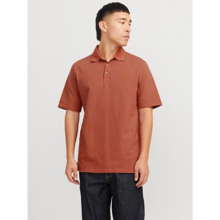 Jack & Jones Poloshirt JPRCCWILLIAM WASH SS POLO SN