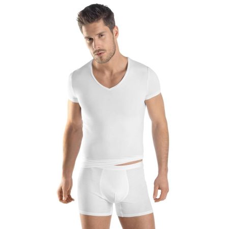 Hanro heren ondergoed Micro Touch T-shirt 073108