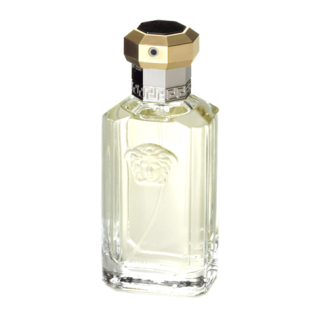 Versace The Dreamer eau de toilette spray 100 ml