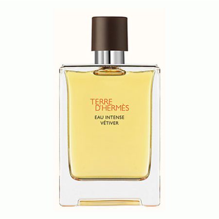 Terre d'Hermes Eau Intense Vétiver eau de parfum spray 100 ml