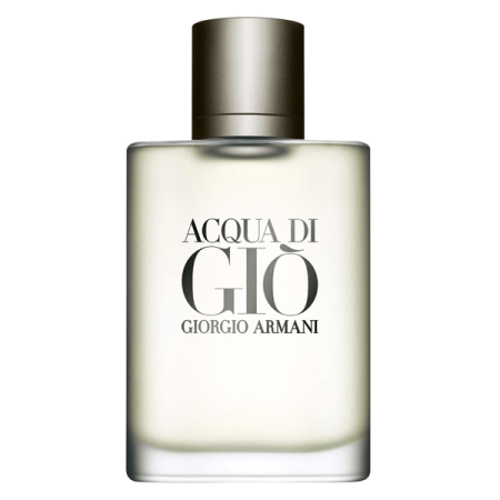 Acqua di Gio homme eau de toilette spray 200 ml