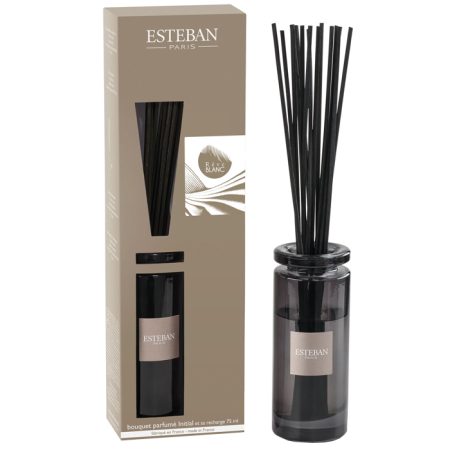 Esteban Classic Rêve Blanc Geurdiffuser Initial 75 ml