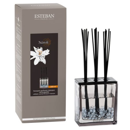 Esteban Classic Néroli Geurdiffuser Triptyque 250 ml