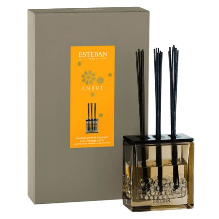 Esteban Classic Ambre Geurdiffuser Triptyque 250 ml