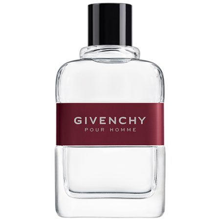 Givenchy pour homme eau de toilette spray 100 ml