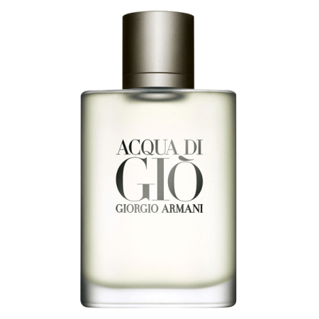Acqua di Gio homme eau de toilette spray 100 ml