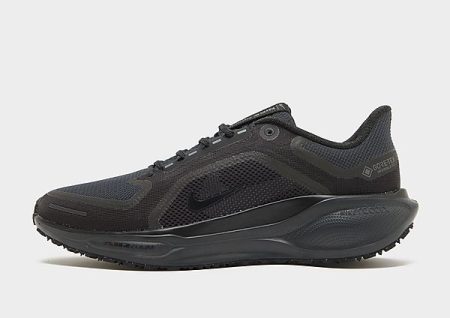 Nike Pegasus 41 GORE-TEX - Zwart- Heren