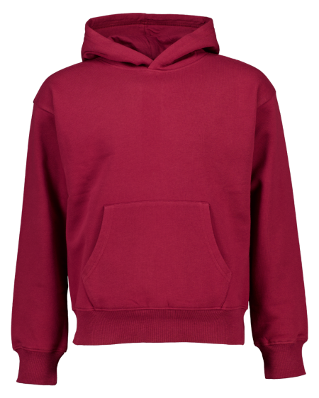 Hoodie - Rood