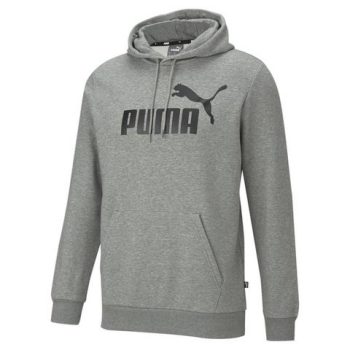 PUMA Hoodie ESS BIG LOGO HOODIE FL