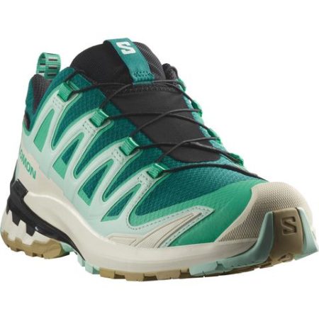 Salomon Trailrunningschoenen XA PRO 3D V9 GORE-TEX