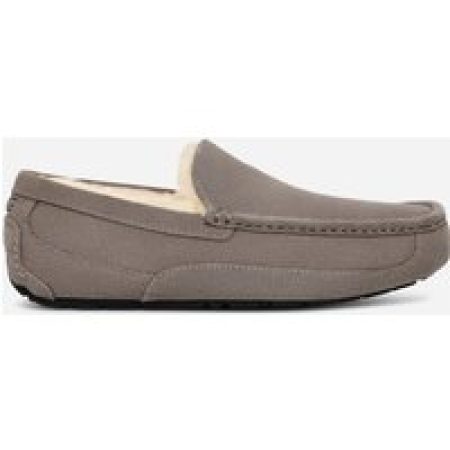 UGG® Ascot-pantoffel in Grey