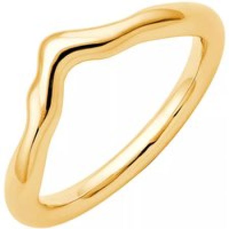 Pukka Berlin Ringen - Nimbus Metal Chevron Ring in gold