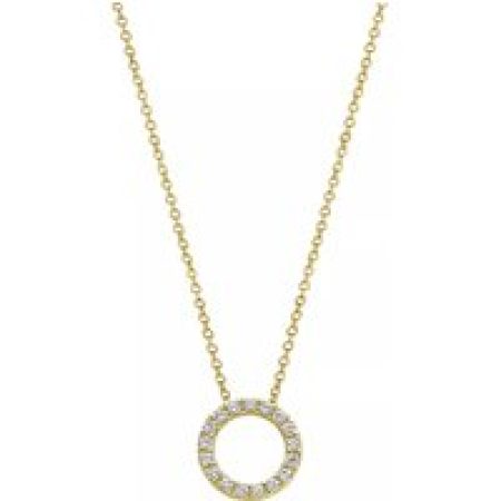 Blush Kettingen - Necklace 3065BZI - Gold (14k) with Zirconia in gold