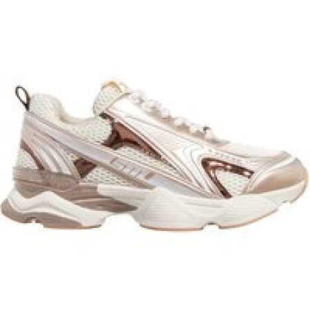 Steve Madden Low-Top Sneakers - Speedster-E in roségoud