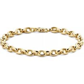 Blush Armbanden - Bracelet 2162YGO - Gold (14k) in gold