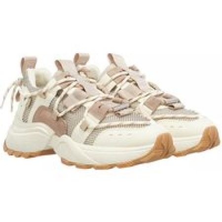 Steve Madden Low-Top Sneakers - Tazmania in beige