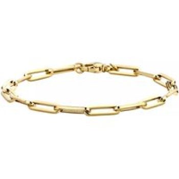 Blush Armbanden - Bracelet 2171YGO - Gold (14k) in gold