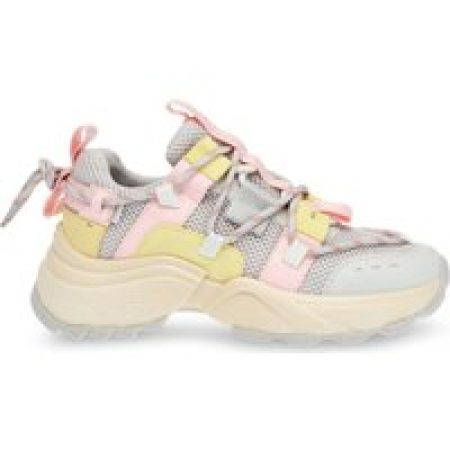 Steve Madden Sneakers - Steve Madden Dames Sneaker Grijs SM11002419/GYP TA in grijs