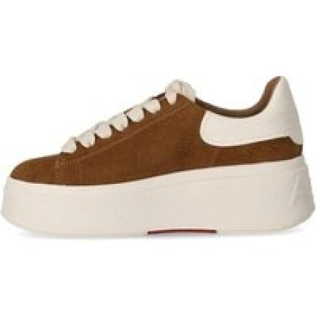 Ash Sneakers - ASH MOBY SUEDE GARDENIA SNEAKER in tweekleurig