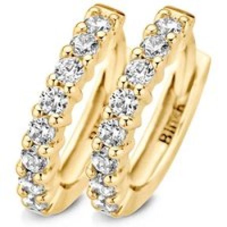 Blush Oorbellen - Earrings 7134YZI - Gold (14k) with Zirconia in gold